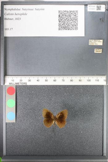 Media type: image;   Entomology 102617
